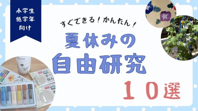【保育士ママ厳選】小学校低学年でもできる夏休みの自由研究10選